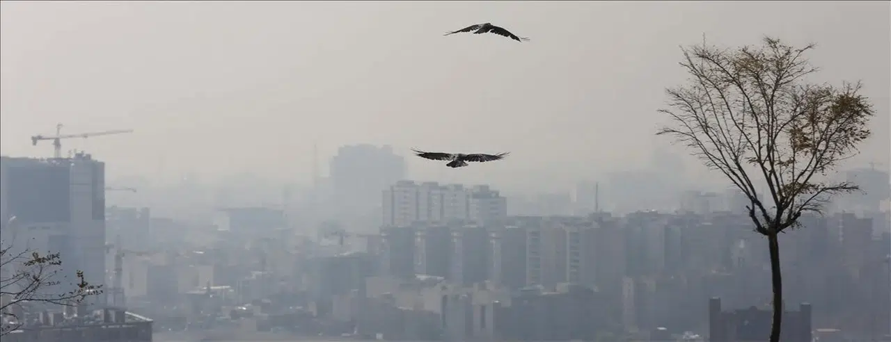 Hava Kirliliği ve Sağlık Üzerine Etkileri