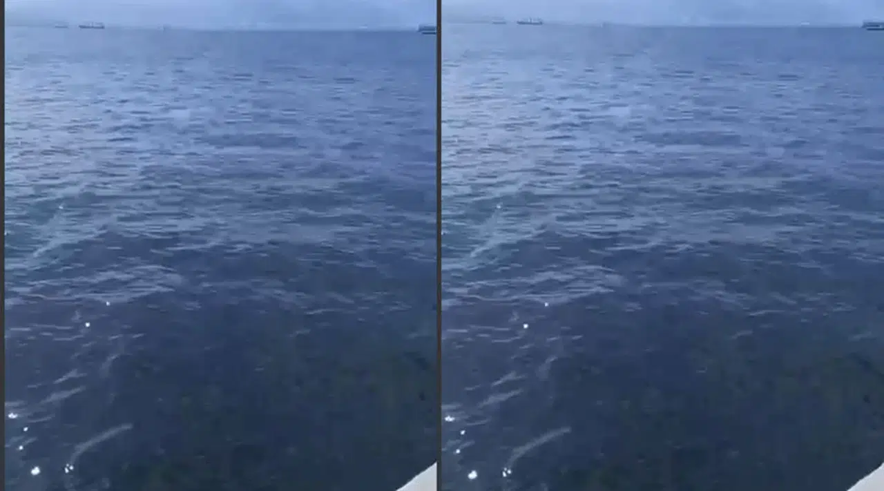 Yağmurun Ardından İzmir Körfezi’ndeki Temizlik Dikkat Çekiyor