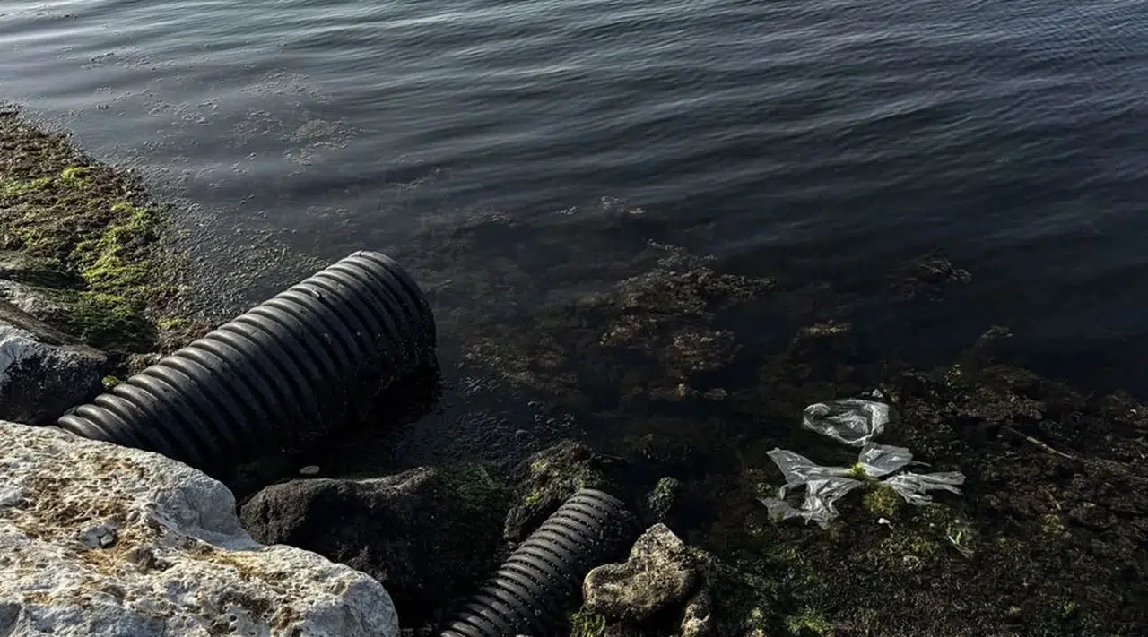 İzmir Körfezi'nde Büyük Tehdit