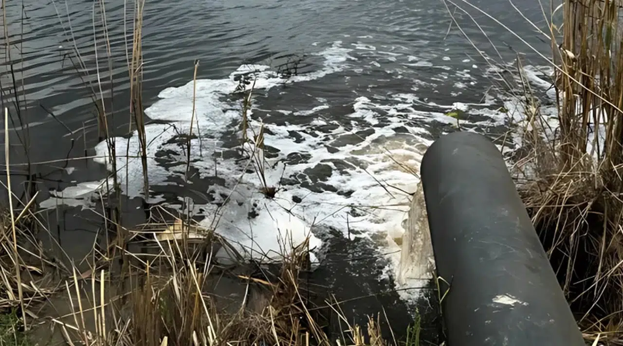 Gediz Nehri Can Çekişiyor: Kirlilik Giderek Artıyor
