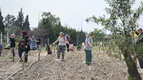 Bornova’da Toprak Kadınların Umudu Oldu
