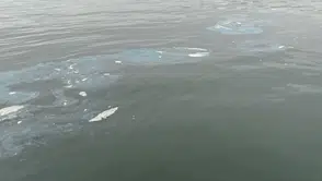 İzmir Körfezi’ni Kirleten Firmaya Rekor Ceza!