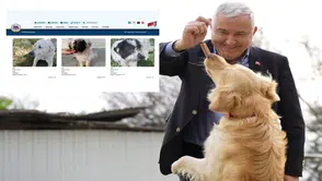 Kemalpaşa’da E-Pati ile sahiplendirmeye dijital destek