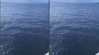 Yağmurun Ardından İzmir Körfezi’ndeki Temizlik Dikkat Çekiyor