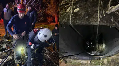 İzmir'de İtfaiyeden Başarılı Kurtarma Operasyonu