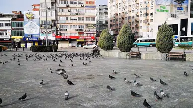 Ödemiş’in Gözde Doğa Harikası: Gölcük Gölü