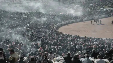 Selçuk’ta Deve Güreşi Şöleni