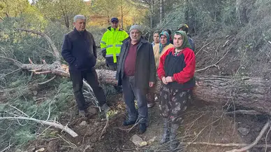 Tire’de Ağaç Kesimine Tepki: “Geçim Kaynaklarımız Yok Ediliyor”