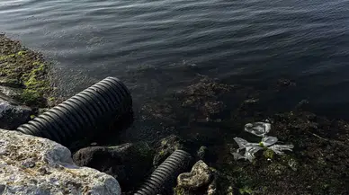 İzmir Körfezi'nde Büyük Tehdit