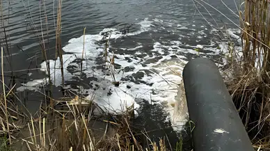 Gediz Nehri Can Çekişiyor: Kirlilik Giderek Artıyor