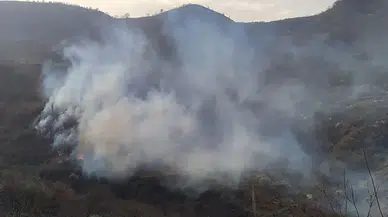 İzmir Ödemiş’te Tarım Arazisinde Yangın