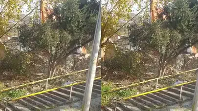 İzmir Yeşildere’de Bina Yıkımı Doğayı Tahrip Etti