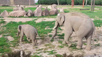 İzmir Doğal Yaşam Parkı: Türkiye’nin İlk Doğal Yaşam Alanı