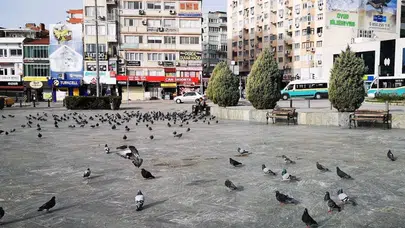 Ödemiş’in Gözde Doğa Harikası: Gölcük Gölü