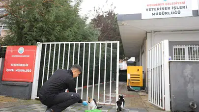Sokak Hayvanları İçin Gece Yarısına Kadar Hizmet