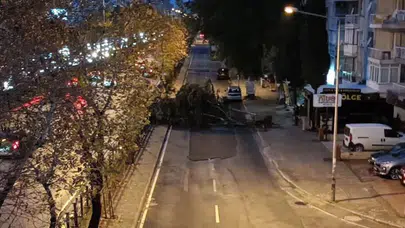 İzmir Bornova'da Ağaç Devrildi