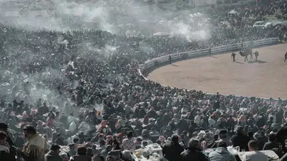 Selçuk’ta Deve Güreşi Şöleni