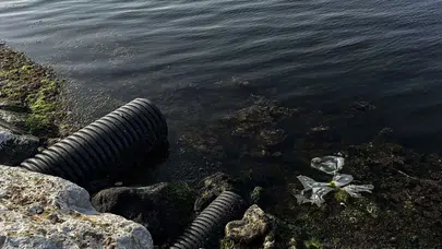 İzmir Körfezi'nde Büyük Tehdit