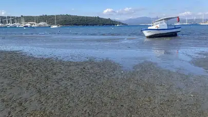 İzmir’de Panik Yaratan Deniz Çekilmesi