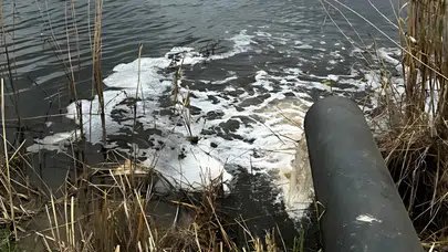 Gediz Nehri Can Çekişiyor: Kirlilik Giderek Artıyor