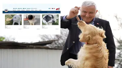 Kemalpaşa’da E-Pati ile sahiplendirmeye dijital destek