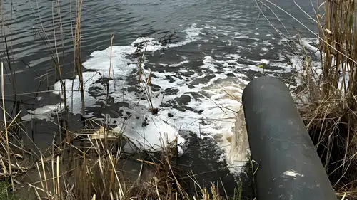 Gediz Nehri Can Çekişiyor: Kirlilik Giderek Artıyor
