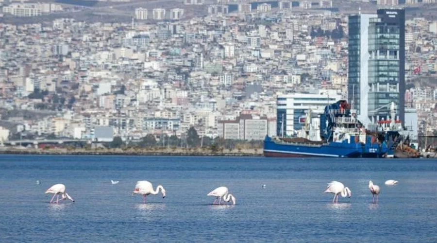 İzmir İhracatta Geriledi