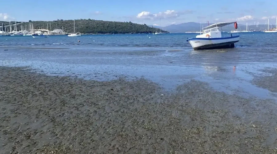İzmir’de Panik Yaratan Deniz Çekilmesi