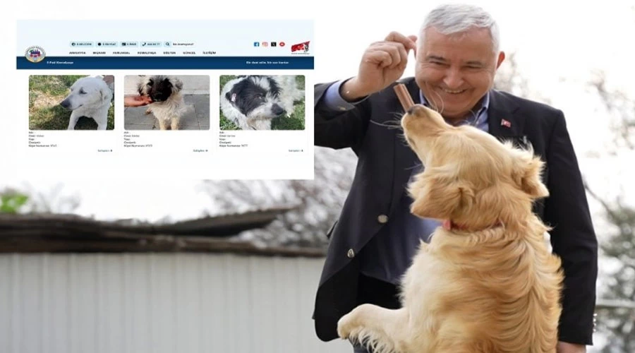 Kemalpaşa’da E-Pati ile sahiplendirmeye dijital destek